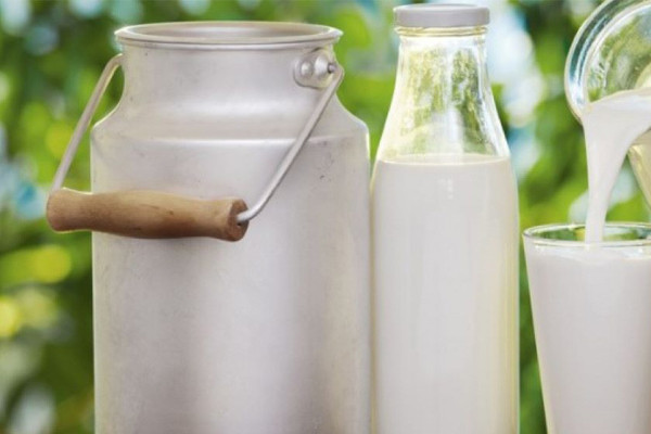 भारतमा दूधको मूल्य बढेपछि नेपाली किसानले पाए बजार